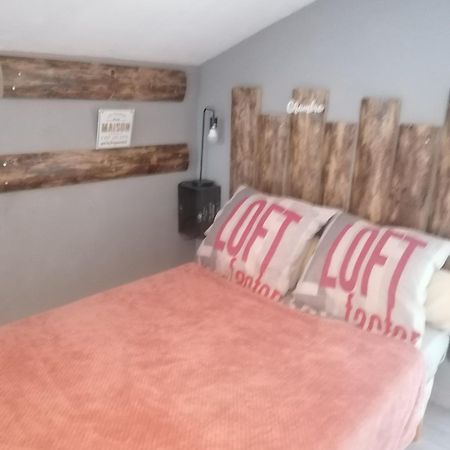 Апартаменти Chambre 23M2 Avec Jardin Wi-Fi Gratuit Saint-Girons Екстер'єр фото