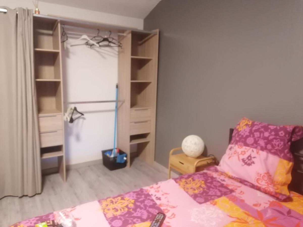 Апартаменти Chambre 23M2 Avec Jardin Wi-Fi Gratuit Saint-Girons Екстер'єр фото