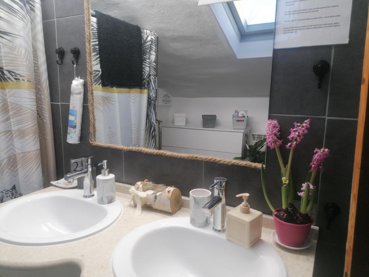 Апартаменти Chambre 23M2 Avec Jardin Wi-Fi Gratuit Saint-Girons Екстер'єр фото
