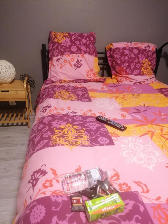 Апартаменти Chambre 23M2 Avec Jardin Wi-Fi Gratuit Saint-Girons Екстер'єр фото
