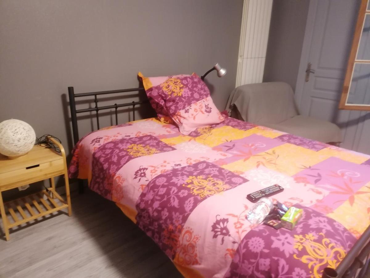 Апартаменти Chambre 23M2 Avec Jardin Wi-Fi Gratuit Saint-Girons Екстер'єр фото